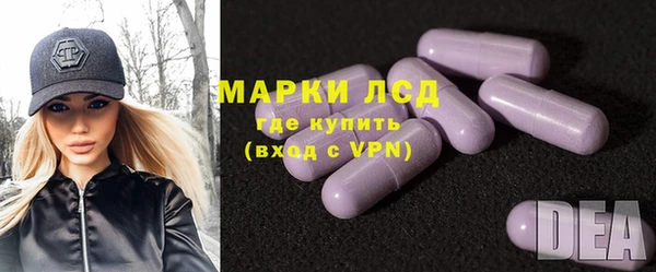 тгк Новодвинск