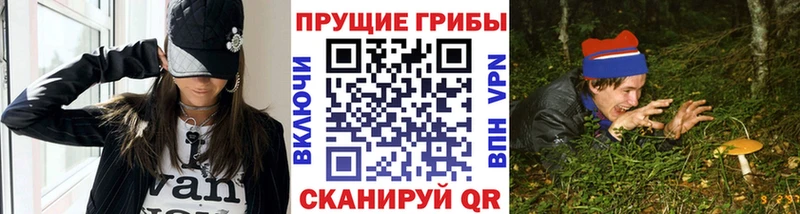 Галлюциногенные грибы Magic Shrooms  Межгорье 