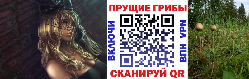Галлюциногенные грибы Magic Shrooms Межгорье