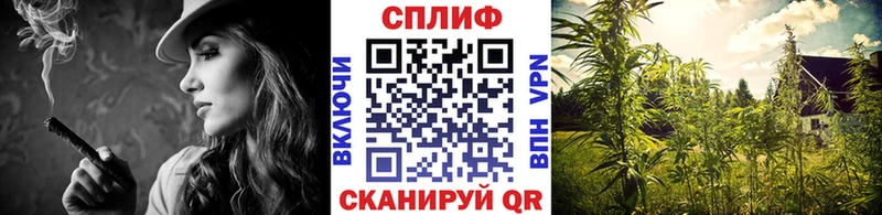 Канабис VHQ  сколько стоит  Межгорье 